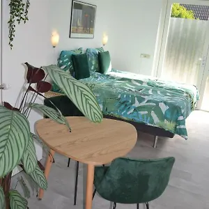 https://studio-38.zandvoort-hotels.com